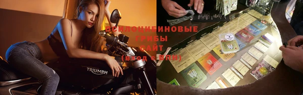 индика Абдулино