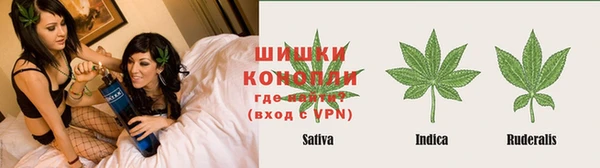 дмт Абаза