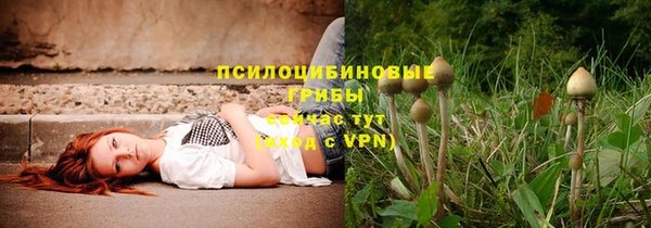 индика Абдулино