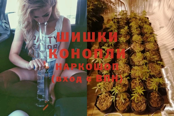 дмт Абаза