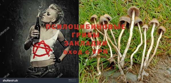 прущие крисы Абинск