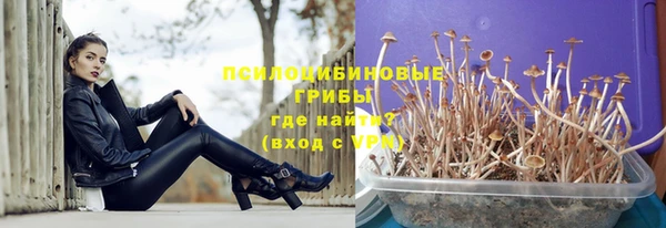 индика Абдулино