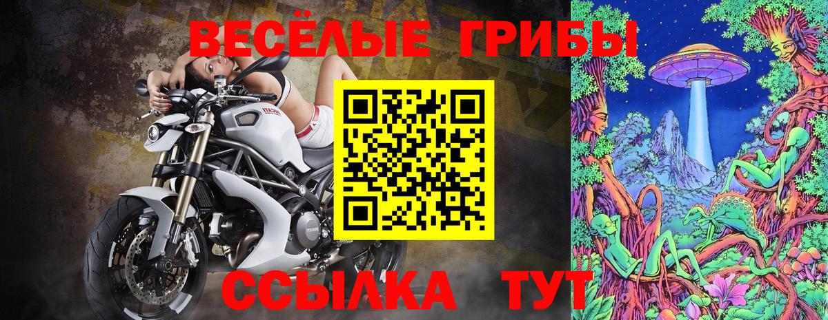 Галлюциногенные грибы GOLDEN TEACHER  Вход с VPN  Красный Сулин  Псилоцибиновые грибы Magic Shrooms 