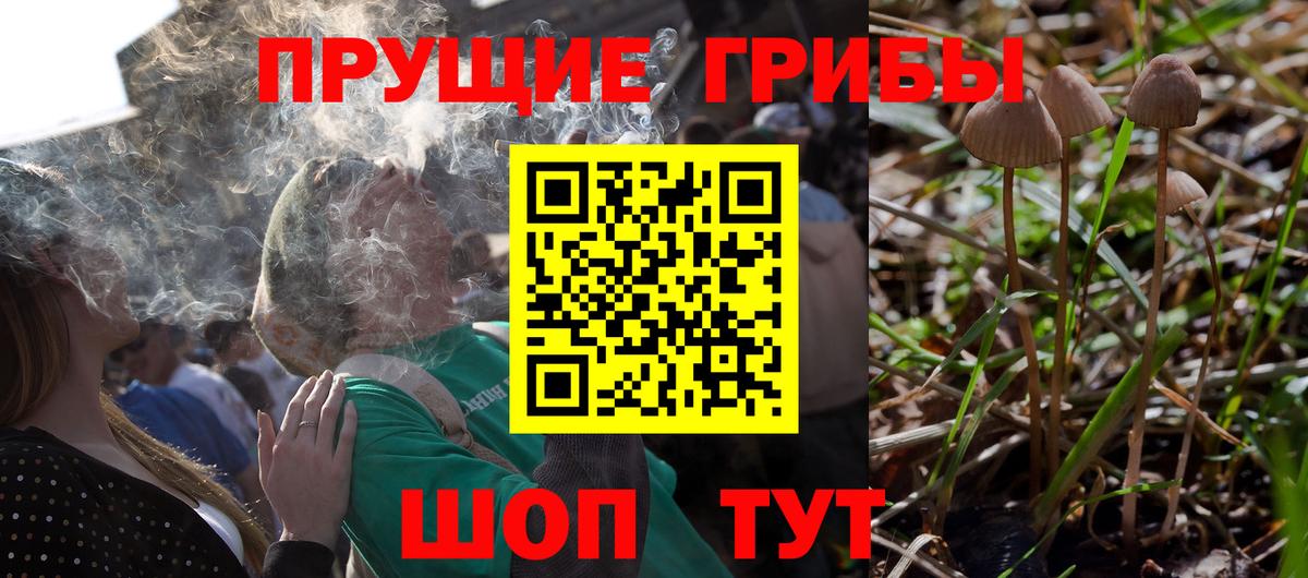 Галлюциногенные грибы мухоморы Красный Сулин