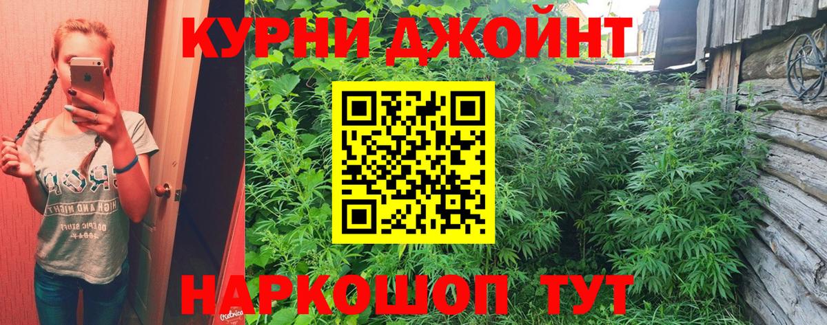 Конопля планчик  Вход с VPN  Канабис Amnesia  Красный Сулин  Конопля марихуана  Конопля сатива 